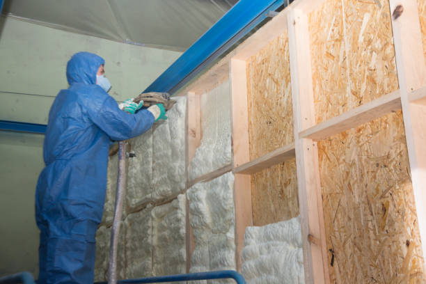 Best Insulation Inspection Services  in Hudson, IA