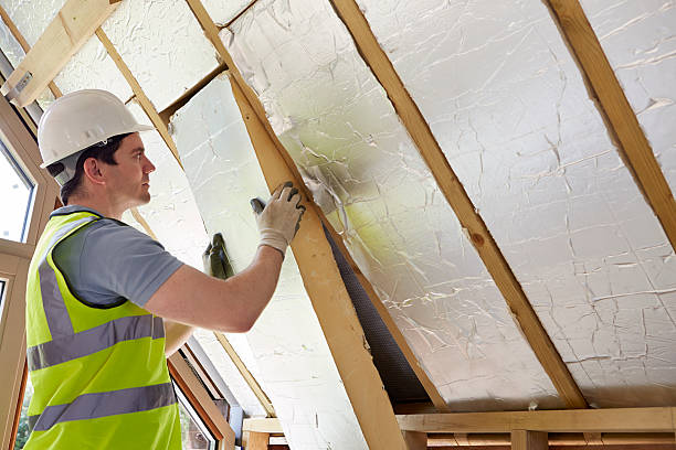 Professional Insulation Contractor in Hudson, IA